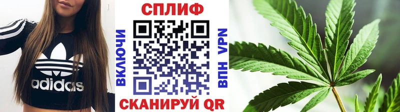 Бошки марихуана семена  Купить где  Ильский 